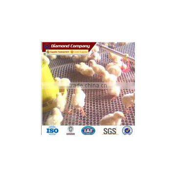 Lowest price Plastic Flat Mesh for Chicken Cultivation