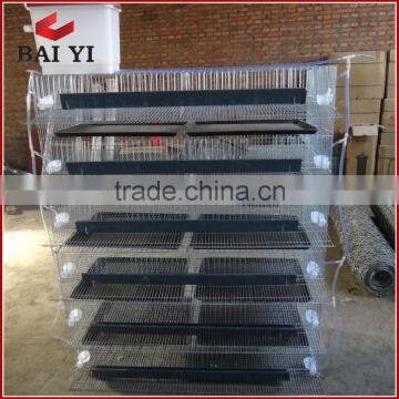 New Design Layer Quail Cages For Sale