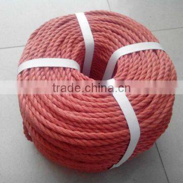 rope factory pp tomato twine supplier