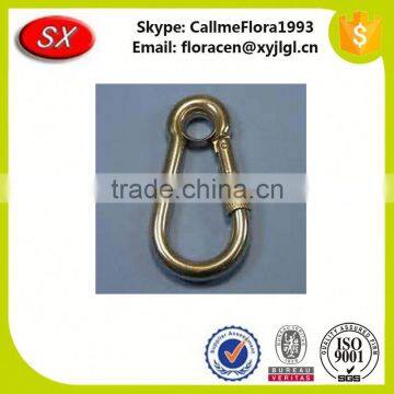 Hot Sale Custom Carabiner Hook With Eyelet (China Manufacture/Hight Quality) photo-6
