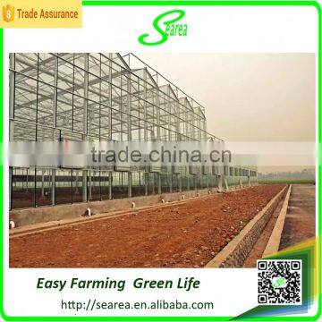 Modern Agricultural Equipments Glass Commercial Greenhouses photo-5