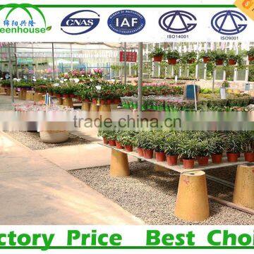 PC Sheet Cover Material and Large Size Tunnel Commercial Greenhouse photo-5