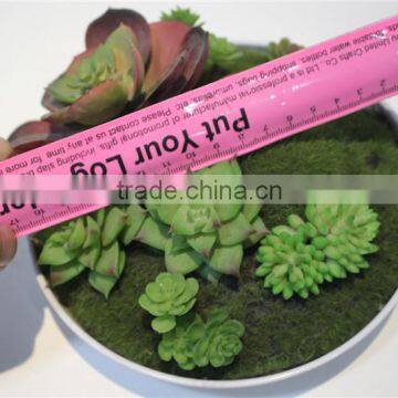Brand Name Plastic Small Multicapacity Process Artificial Round Plate Bonsai Decor photo-4