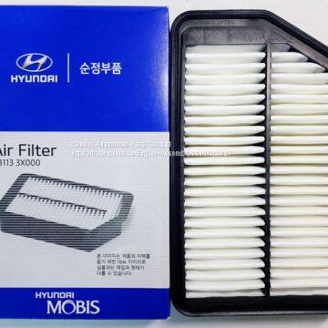 Diesel Engine Parts Air Filter for KIA&Hyundai 28113 3X000 photo-2