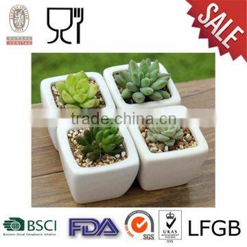 Mini Square Plastic Flower Pot with white color