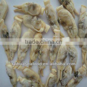 Frozen Cooked Razor Clam Meat