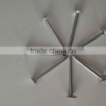 Factory Price Big Flat Head Roofing Nails Coil Roofing Nails Galvanized Clout Nails