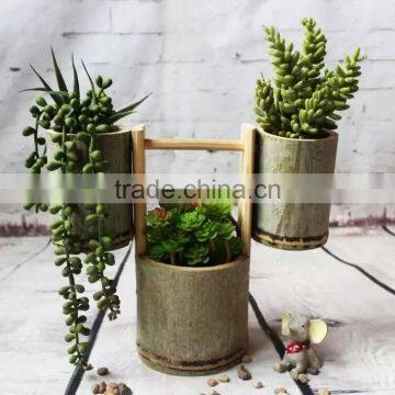 Nature Green Bamboo Vase For Lkebana And Flower Arrangement photo-4