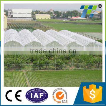 Well-Stocked Agricultural Use Anti Insect Net