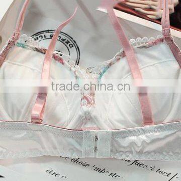 Sexy Hot Girls Lingerie Western Style Underwear Jockey Bra and Panties photo-3