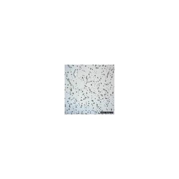 Sell Mineral Fiber Ceiling Board