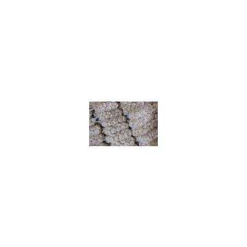 Normal White Fresh Garlic photo-3