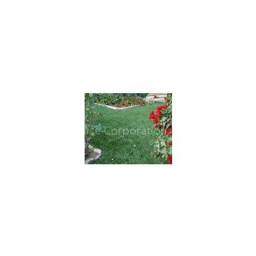 11000Dtex Artificial Landscaping Turf Decoration Carpet 40mm , Gauge 3/8