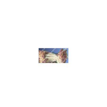 fishing net, nylon net