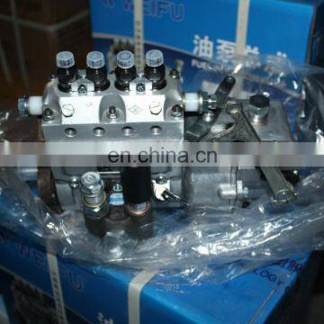 4PW871 Weifu 2100302 Fuel Pump BHF4PM105001 for Yangchai YZ4105ZLQ
