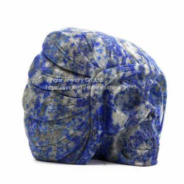 Indian Skull photo-3