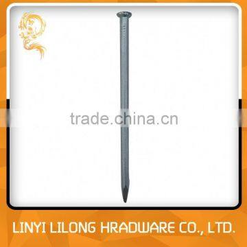 Made In China Galvanized Concrete Nails/Steel Nails photo-5