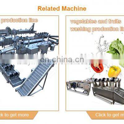 Ginger Powder Making Machine Potato French Fries Dryer Machine Industrial Food Dryer Machine photo-4