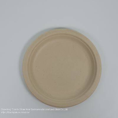 Disposable Biodegradable Plate photo-4