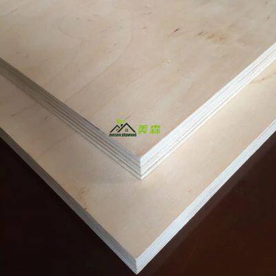 Birch Plywood 3-25mm Poplar/Eucalyptus Core Plywood UV Coading Plywood for Furniture/Construction photo-3
