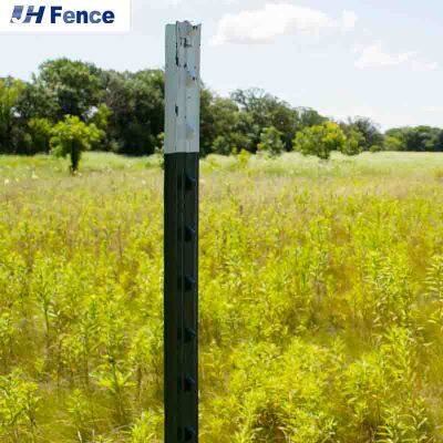 Vente en gros de poteaux de clôture en acier T pavillonnés agricoles en métal vert aux États-Unis de 7 pieds et pesant 1,25 livre. Poteau en T pavillonnés