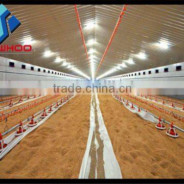 Light frame steel i beam poultry farm