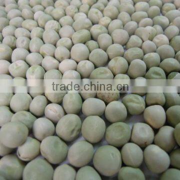 Green Peas Dried US Origin photo-3