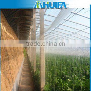 Agricultural Winter Sunlight Greenhouse For Sale