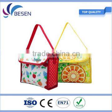 Insulated food delivery lunch cooler bag PP non woven