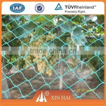 PE Fishing Net Agricultural Net Knotless Net