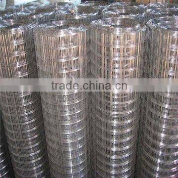 galvanized welded wire mesh/pvc coated welded wire mesh for sale