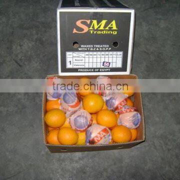 FRESH ORANGE
