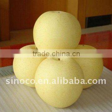 Apple Pears From China (Crown Pear)