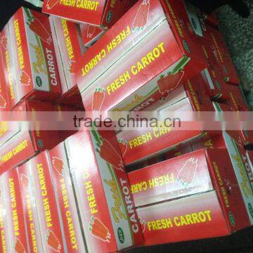 Bright Red Carrot With Small Body From China photo-4