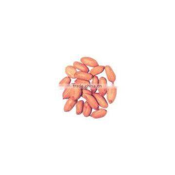 GROUNDNUTS BOLD 40/50