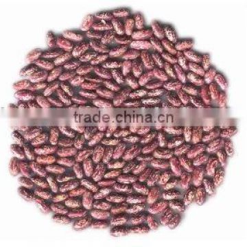 Purple speckled kidney beans