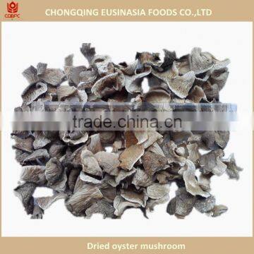 Dried pleurotus ostreatus raw and even oyster mushroom