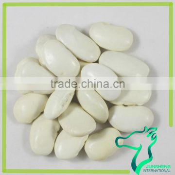 High Protein Chinese Large White Kidney Bean Butter Bean