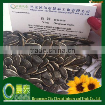 High Quality Striped Raw Sunflower Seeds Sells Edible Price