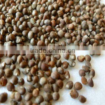 Kosher Approved Organic Perilla Seed Oil photo-3