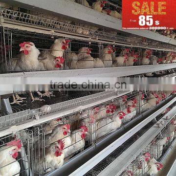 chicken farm equipment of suitable for 4tire chicken cage 128bird-160bird/set