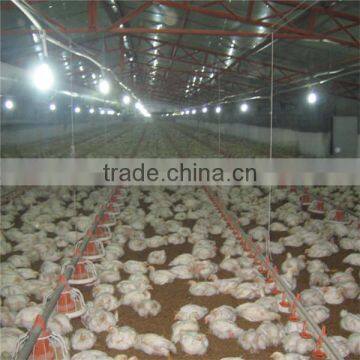 Automatic Chicken House Equipment For Poultry Chicken Farm photo-2