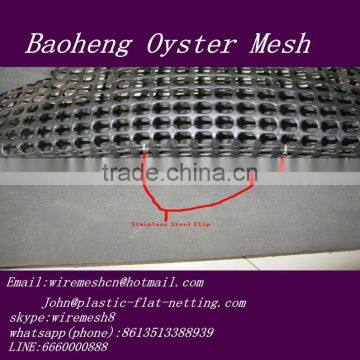 Square Hole Plastic Oyster Bag,Oyster Mesh,Oyster Bag,HDPE Oyster Mesh photo-4