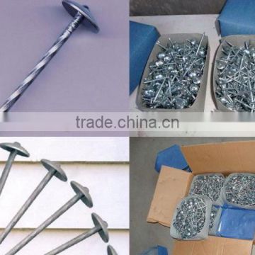 galvanized roofing nails