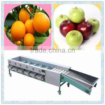 High Efficiency Automatic Garlic Grading/Sorting/Choosing Machine(SMS:0086-15903675071)