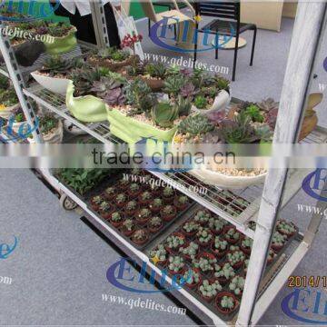 169 Steel for Display Flower Trolley Steel for Pool Rack Steel for Half Danish photo-6