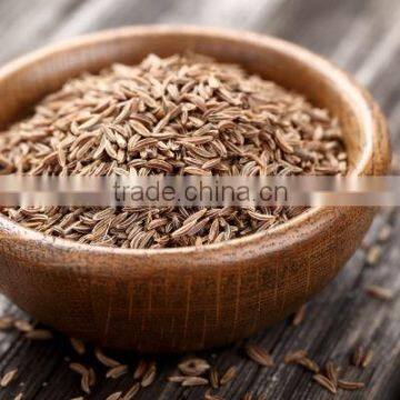Cumin Seeds photo-2