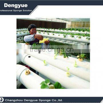 Agricultural Polyurethane High Densuty Seeding Planting Sponge