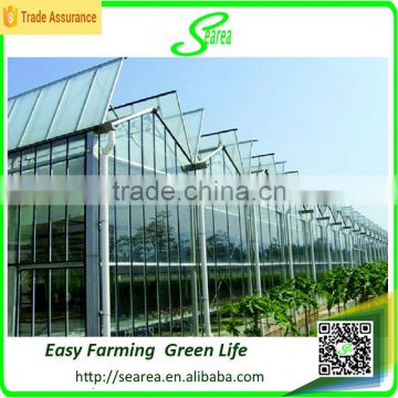 Large size and multi-span agriculture greenhouse,venlo/arch type green house