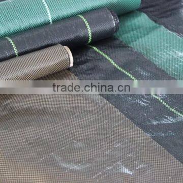 Black PP Weed Barrier for Garden photo-2